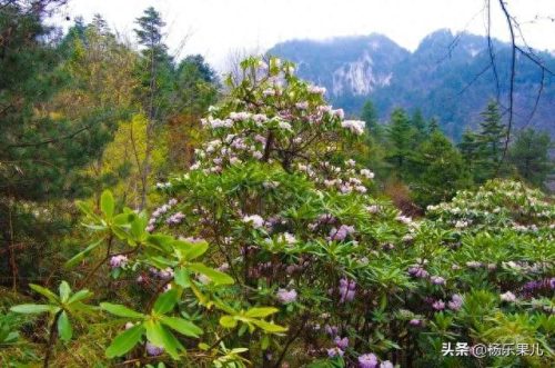 商洛市十大景区排行榜(淄博十大免费景区)插图36