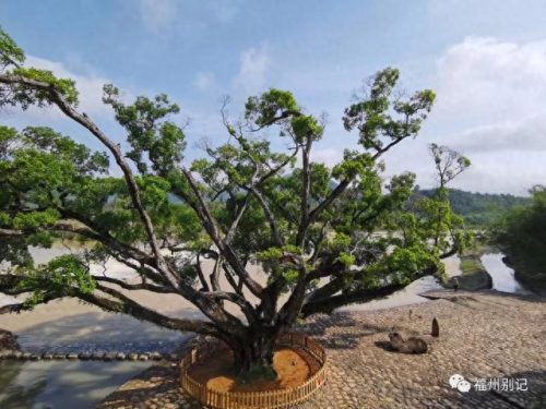永泰县水管维修排名前十(闽侯县水管维修排名)插图14