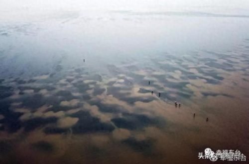 盐城品质硅藻泥排名前十(盐城耐用硅藻泥哪家好)插图1 盐城品质硅藻泥排名前十(盐城耐用硅藻泥哪家好)插图1