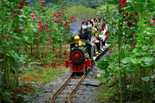 阳春旅游(阳春旅游景点)插图49