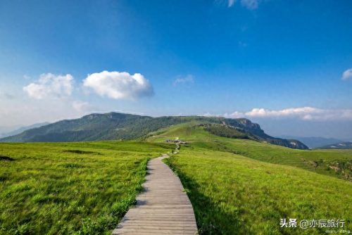重庆周边一日游(重庆主城带小孩一日游)插图9 重庆周边一日游(重庆主城带小孩一日游)插图9