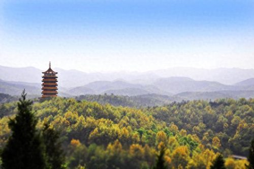 随州十大景点排行榜前十名(随州十大免费景点)插图7