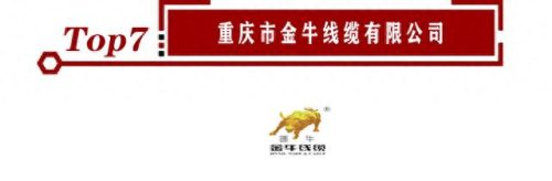 中国电缆骨干厂家排名前十(国内电缆最好的厂家)插图7