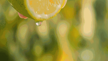 迪奥真我系列(女士香水推荐哪款好闻)插图24 迪奥真我系列(女士香水推荐哪款好闻)插图24