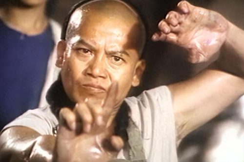 十大不火功夫明星排行榜(功夫明星蘑菇头是谁)插图17