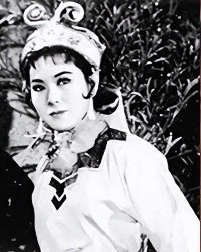 十大不火功夫明星排行榜(功夫明星蘑菇头是谁)插图24