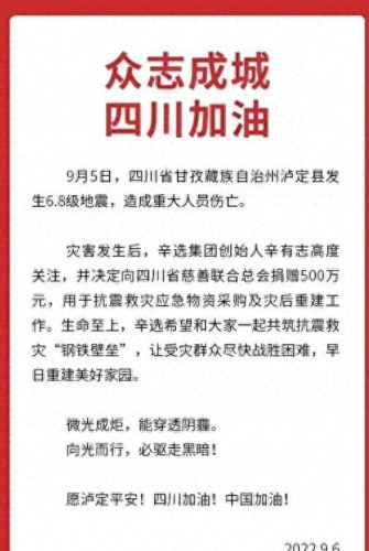 中国歌唱家捐款排名前十(中国女歌唱家一览表)插图3