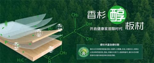 生态板十大品牌排行榜2023(生态板有哪10大品牌)插图6