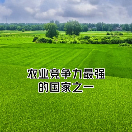 产量过万的蔬果排名前十(中国苹果产量排名)插图