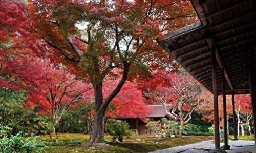 全世界舒适度排名前十(人类舒适度排行榜)