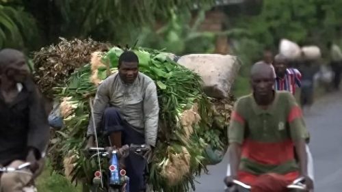 世界经济最穷国家排名前十(世界10大最穷国家排行榜)插图23