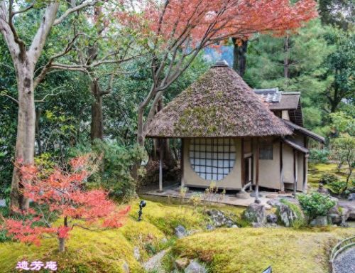 日本十大茶庭排行榜图片(日本茶庭)插图11