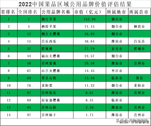 山东十大苹果品牌排行榜(苹果配件品牌排行)插图1