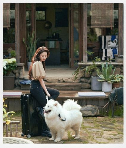 十大言情影视剧排行榜前十(香港十大言情电影)插图