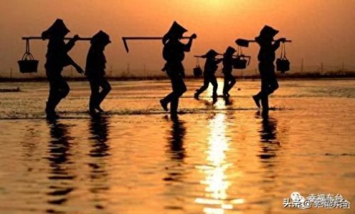 盐城品质硅藻泥排名前十(盐城耐用硅藻泥哪家好)插图2 盐城品质硅藻泥排名前十(盐城耐用硅藻泥哪家好)插图2