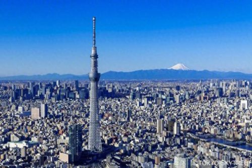 建筑行业公司世界排名前十(世界十大最美建筑)插图7