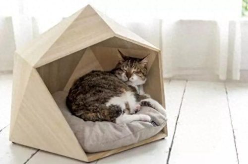 中国猫窝垫十大品牌排行榜(中国猫窝垫十大品牌)插图26 中国猫窝垫十大品牌排行榜(中国猫窝垫十大品牌)插图26