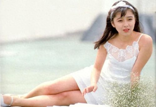 明星日本十大美女排行榜(日本十大微胖美女)插图6 明星日本十大美女排行榜(日本十大微胖美女)插图6