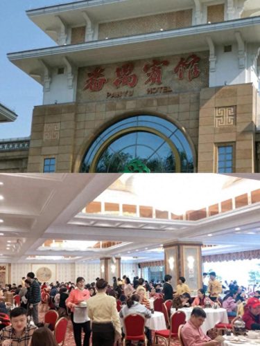 广东十大连锁茶庄店排行榜(老字号茶庄排行榜)插图16