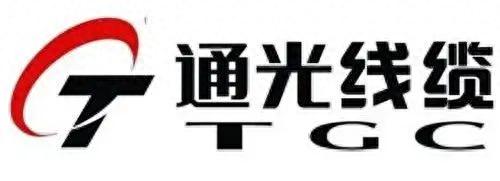 网络布线服务商排名前十(十大布线产品排名)插图8