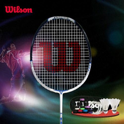 十大羽毛球外套品牌排行榜(羽毛球品牌logo大全)插图20