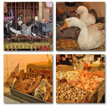 南通最大农贸市场排名前十(南通人气农贸市场)插图17