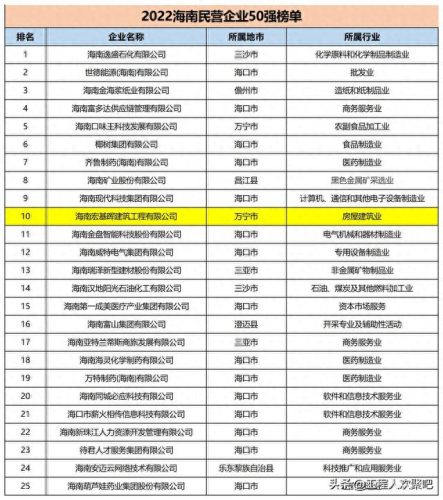 海口开发区企业排名前十(海口最强企业排名)插图6