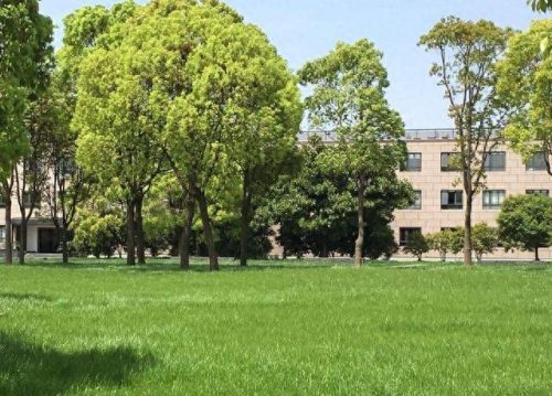 十大学费最高大学排行榜(吉林外国语大学研究生学费多少钱)插图5