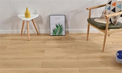 北美十大地板品牌排行榜(北美地板十大品牌)插图7