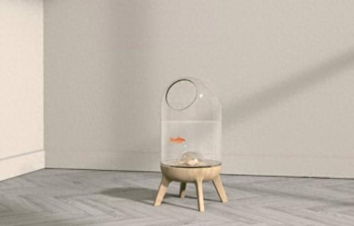 中国猫窝垫十大品牌排行榜(中国猫窝垫十大品牌)插图21 中国猫窝垫十大品牌排行榜(中国猫窝垫十大品牌)插图21