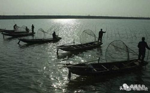 盐城品质硅藻泥排名前十(盐城耐用硅藻泥哪家好)插图11 盐城品质硅藻泥排名前十(盐城耐用硅藻泥哪家好)插图11