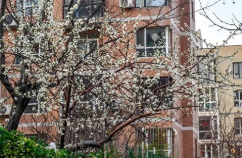 全国十大名校排行榜中学(最新的中国十大中学排名)