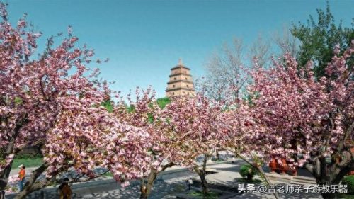 西安十大不坑景点排行榜(西安必打卡十大网红)插图2