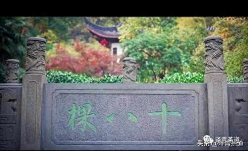 十大茶叶产品排行榜前十名(过期茶叶十大妙用)插图24