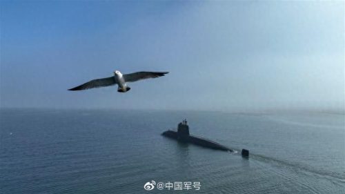 十大国产潜艇品牌排行榜(国产潜艇分级)插图7