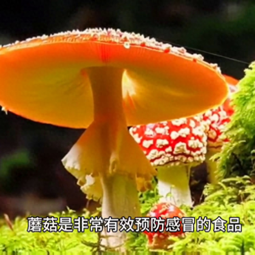 儿童十大绿色食品排行榜(十种绿色食品排行榜)插图1