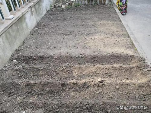 苏州家庭花卉肥料排名前十(国内知名花卉肥料品牌)