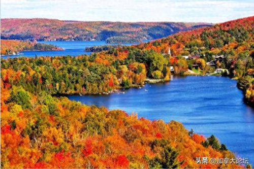 加拿大野外旅游排名前十(加拿大必去景点排名)插图8 加拿大野外旅游排名前十(加拿大必去景点排名)插图8