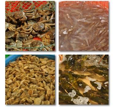 南通最大农贸市场排名前十(南通人气农贸市场)插图1