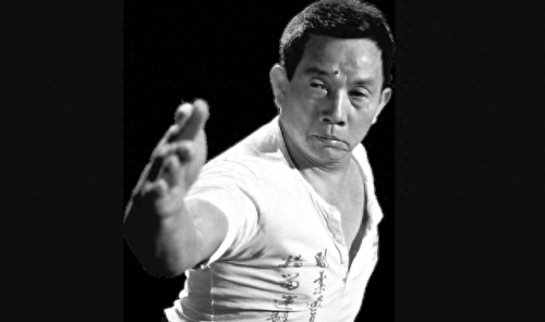 十大不火功夫明星排行榜(功夫明星蘑菇头是谁)插图13