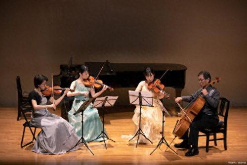 可爱风音乐十大排行榜(小猫咪可爱超萌音乐)插图3