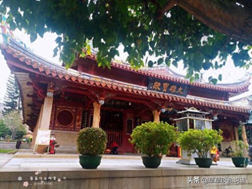 崇福县十大美食排行榜图片(崇福羊肉面哪家好吃)插图1