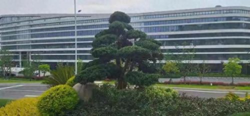 化妆品项目招商排名前十(顶级化妆品品牌排名)插图2