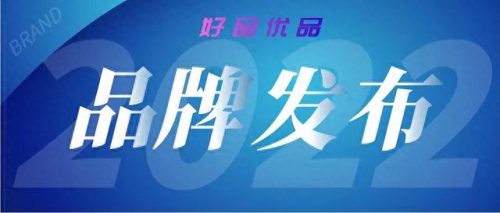 国标电动汽车电池排名前十(48v国标车能装60v电池吗)插图26