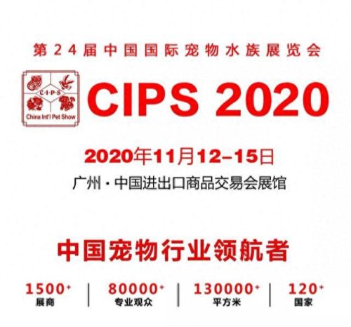 十大萌宠主播排行榜最新(十大宠物主播排行)插图7 十大萌宠主播排行榜最新(十大宠物主播排行)插图7