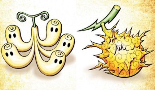 海贼王恶魔果实(海贼王恶魔果实大全)插图