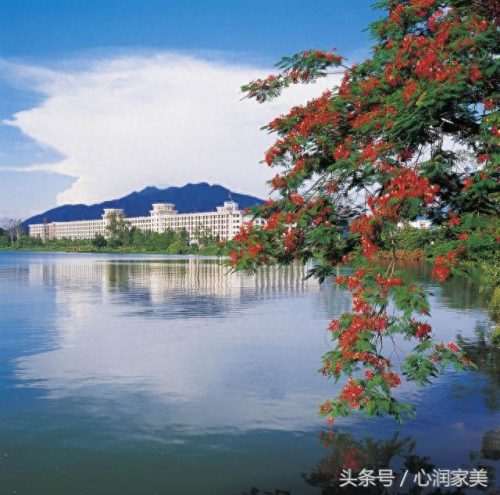 海淀人际交往咨询排名前十(海淀人际交往咨询服务)插图6