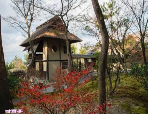 日本十大茶庭排行榜图片(日本茶庭)插图10