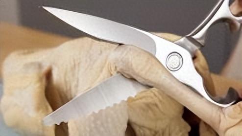 厨房剪刀十大排行榜(厨房剪刀第一名)插图1 厨房剪刀十大排行榜(厨房剪刀第一名)插图1