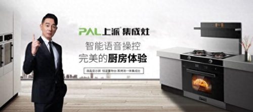 环保集成灶十大名牌排行榜(十大名牌集成灶排行榜前十名)插图7